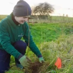 Tree planting [city]