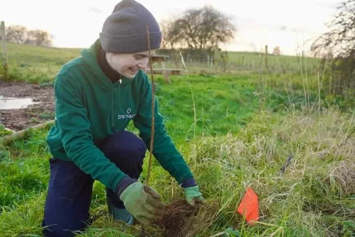 Tree planting Blackburn