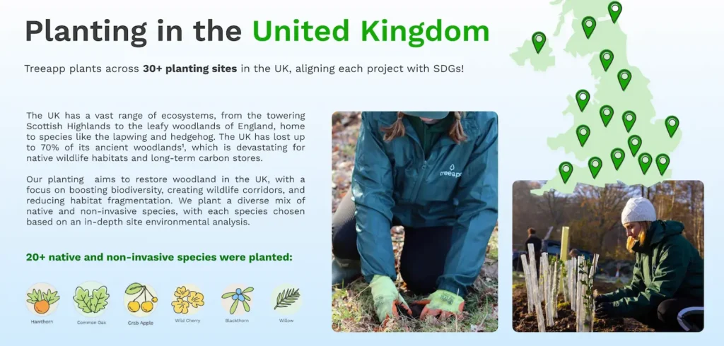 Tree app castle eco solutions Blackburn